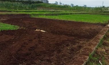 di jual.lahan pertanian dekat PT Yora krgambas padamara purbalingga