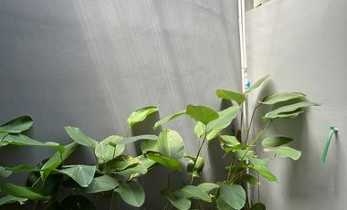 dijual rumah di sleman dekat stadion maguwo dalam cluster wedomartani