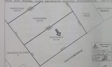 BONITO TERRENO PLANO CON DOBLE FILTRO DE SEGURIDAD EN LOMAS DE CUERNAVACA CON TOMA DE AGUA Y LUZ