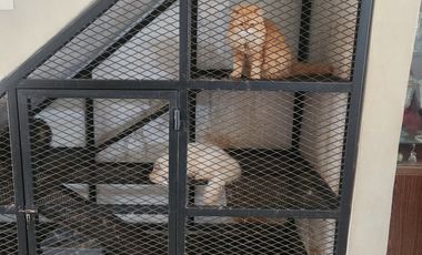 Dijual Rumah unik , siap huni  di Harmoni 2 BNR