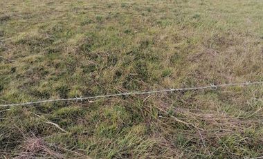 Parcela en venta en CAÑETE