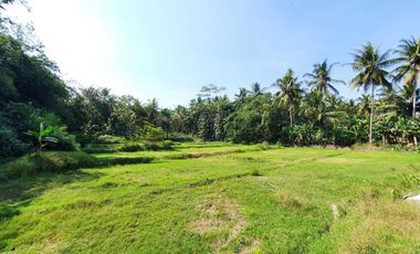 Dekat RS Nyi Ageng Serang, Tanah Jogja Barat Investasi Murah, pas Huni