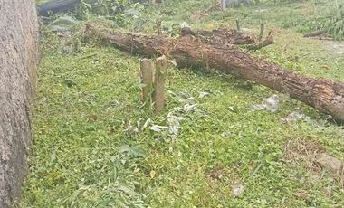 DIJUAL KAVLING Di CILLENGGANG SERPONG