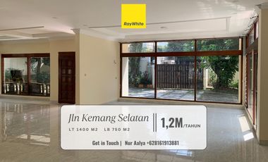 Disewa Rumah/Tempat Usaha Super Luas, di Premium area Kemang Selatan