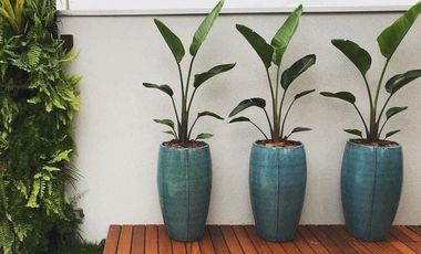 Departamento en Pre-Venta Santa Cruz Acatlán UNIVERSITY HEIGHTS COD. DV1198