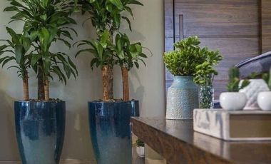 Departamento en Pre-Venta Santa Cruz Acatlán UNIVERSITY HEIGHTS COD. DV1198