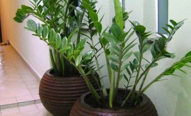 Departamento en Pre-Venta Santa Cruz Acatlán UNIVERSITY HEIGHTS COD. DV1198