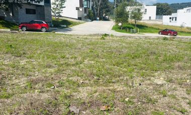 Terreno En Venta En Los Robles Residencial