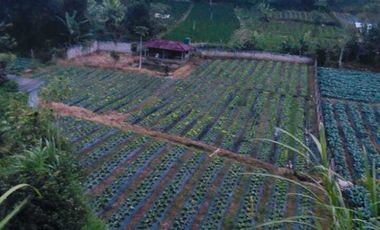 Di jual tanah murah lembang ciputri