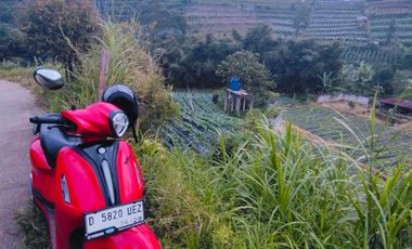 Di jual tanah murah lembang ciputri