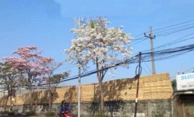 Tanah dijual di RW 06, Jepara, Bubutan, Surabaya, Jawa Timur