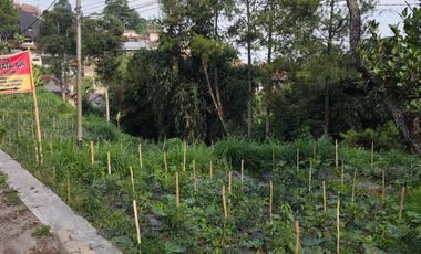 Tanah mainroad pagerwangi view Kota Bandung