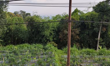 Tanah mainroad pagerwangi view Kota Bandung