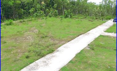 Panjatan, Rumah Jogja Jl. Nagung-Brosot Gaya Arsitektur Bali Style