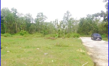 Panjatan, Rumah Jogja Jl. Nagung-Brosot Gaya Arsitektur Bali Style