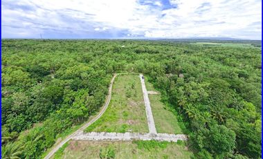 Panjatan, Rumah Jogja Jl. Nagung-Brosot Gaya Arsitektur Bali Style