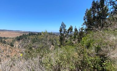 PARCELA 2 HECTAREAS SECTOR SAN JAUN, EL TRANQUE