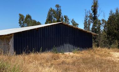 PARCELA 2 HECTAREAS SECTOR SAN JAUN, EL TRANQUE