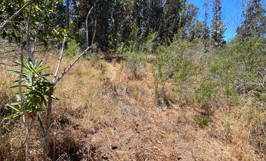 PARCELA 2 HECTAREAS SECTOR SAN JAUN, EL TRANQUE