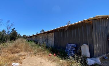 PARCELA 2 HECTAREAS SECTOR SAN JAUN, EL TRANQUE