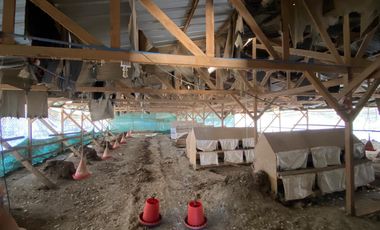 PARCELA 2 HECTAREAS SECTOR SAN JAUN, EL TRANQUE