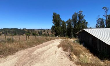 PARCELA 2 HECTAREAS SECTOR SAN JAUN, EL TRANQUE