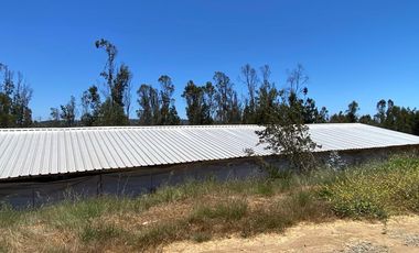 PARCELA 2 HECTAREAS SECTOR SAN JAUN, EL TRANQUE