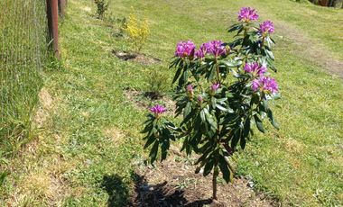 GRAN OPRTUNIDAD DE INVERSION, CABAÑAS SUPERMERCADO Y CASA