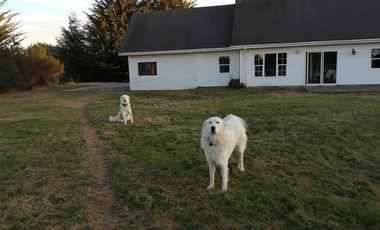 Parcela en Arriendo en Club de Campo Residencial