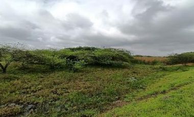 Terreno plano y delimitado – 3.000 m² en Las Brisas, Durán Lote 69