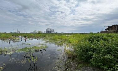 Terreno plano y delimitado – 3.000 m² en Las Brisas, Durán Lote 69