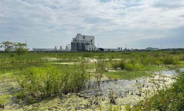 Terreno plano y delimitado – 3.000 m² en Las Brisas, Durán Lote 69