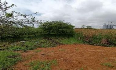 Terreno plano y delimitado – 3.000 m² en Las Brisas, Durán Lote 69