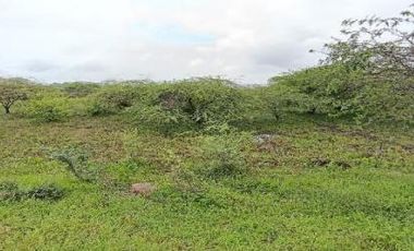 Terreno amplio con excelente frente – 2.866 m² en Las Brisas, Durán LOTE 58