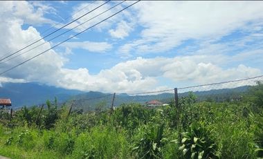 Tanah murah BU bagus buat villa pinggir jalan kafe sabin dekat selecta