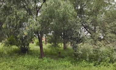 TERRENO EN VENTA EN JESUS MARIA,  AGUASCALIENTES.