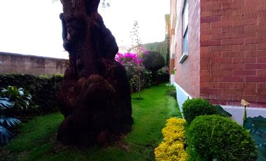 Departamento en Renta en SANTA URSULA XITLA