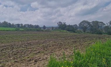 TERRENO EN RENTA IXTAPALUCA