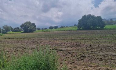TERRENO EN RENTA IXTAPALUCA