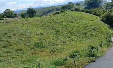 LOTE EN VENTA VIA ALCALA/PEREIRA