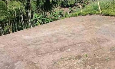 LOTE EN VENTA VIA ALCALA/PEREIRA