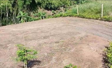 LOTE EN VENTA VIA ALCALA/PEREIRA