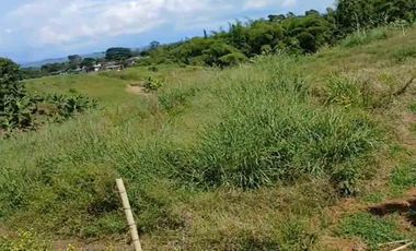 LOTE EN VENTA VIA ALCALA/PEREIRA