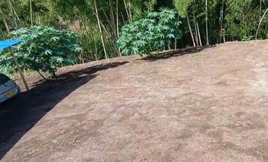 LOTE EN VENTA VIA ALCALA/PEREIRA