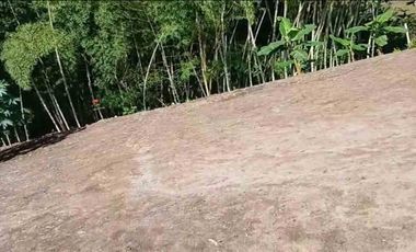 LOTE EN VENTA VIA ALCALA/PEREIRA