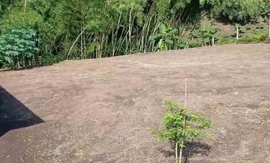 LOTE EN VENTA VIA ALCALA/PEREIRA