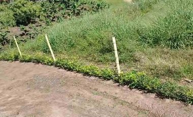 LOTE EN VENTA VIA ALCALA/PEREIRA