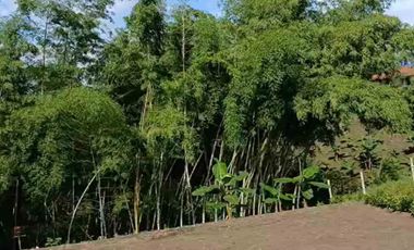 LOTE EN VENTA VIA ALCALA/PEREIRA