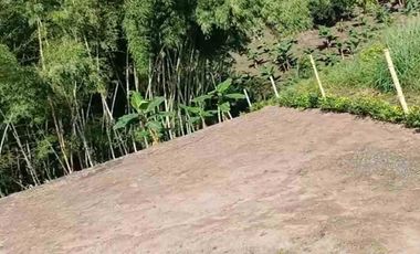 LOTE EN VENTA VIA ALCALA/PEREIRA