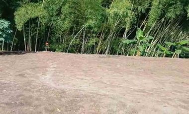 LOTE EN VENTA VIA ALCALA/PEREIRA